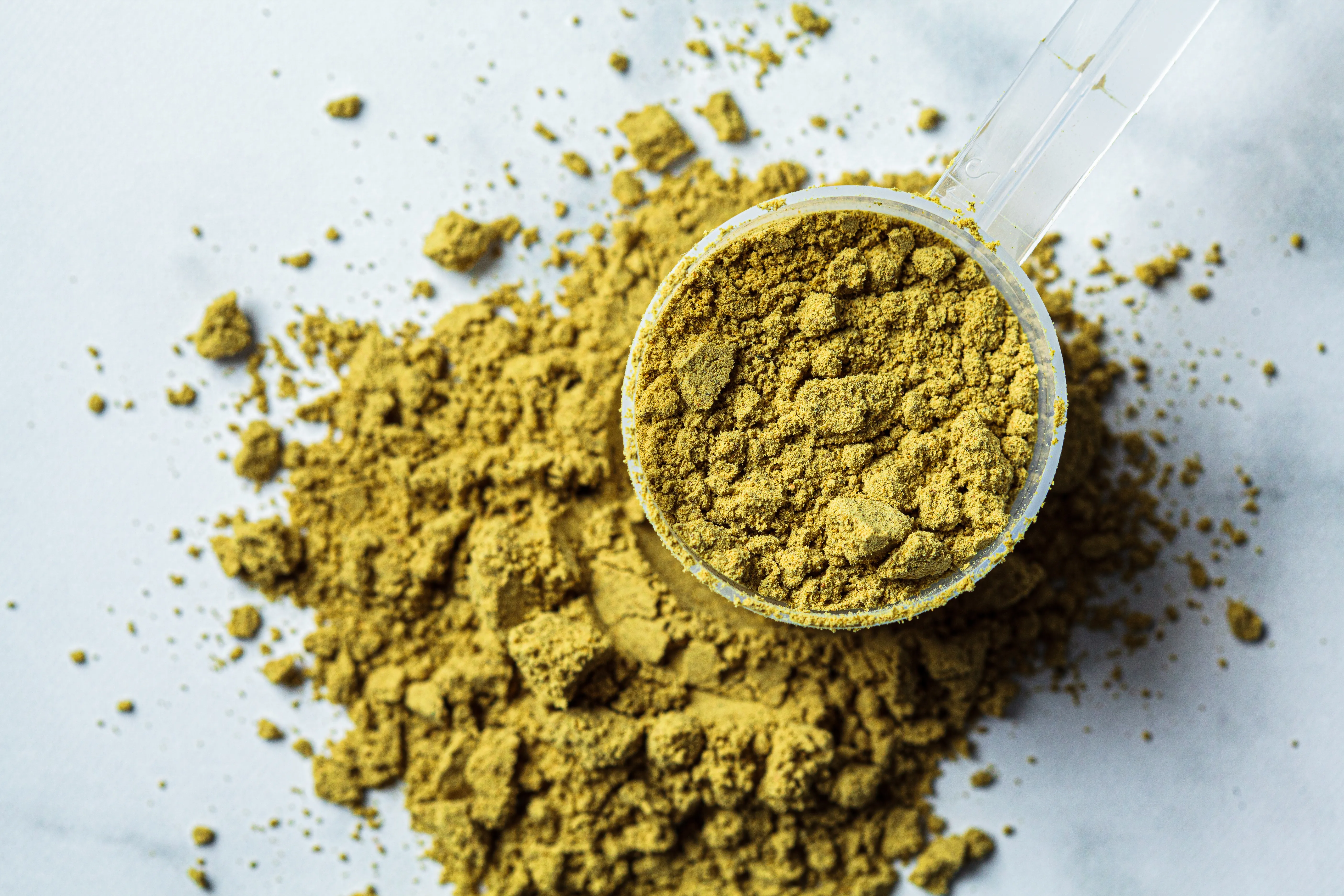 Coriander Powder