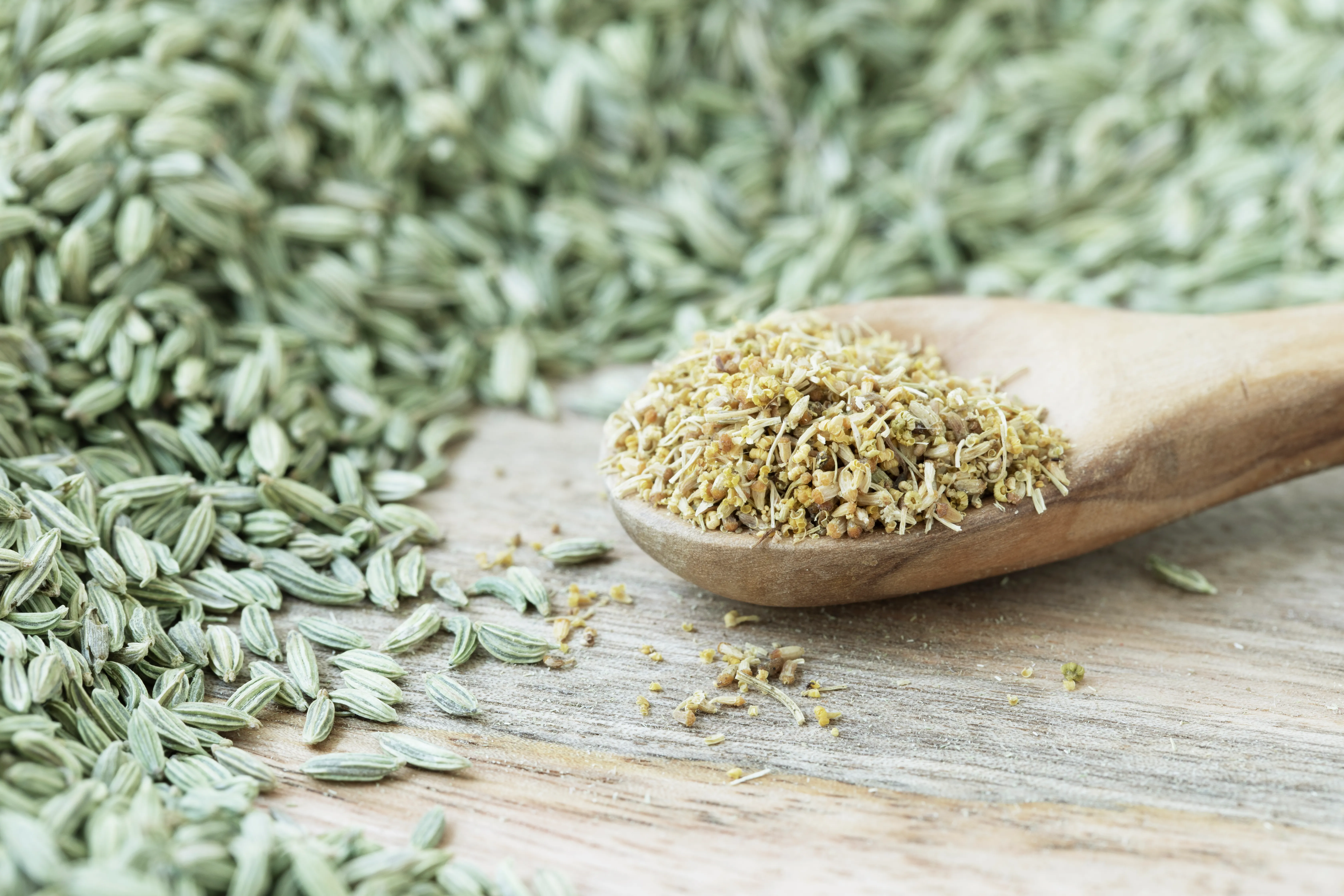 Fennel Seeds