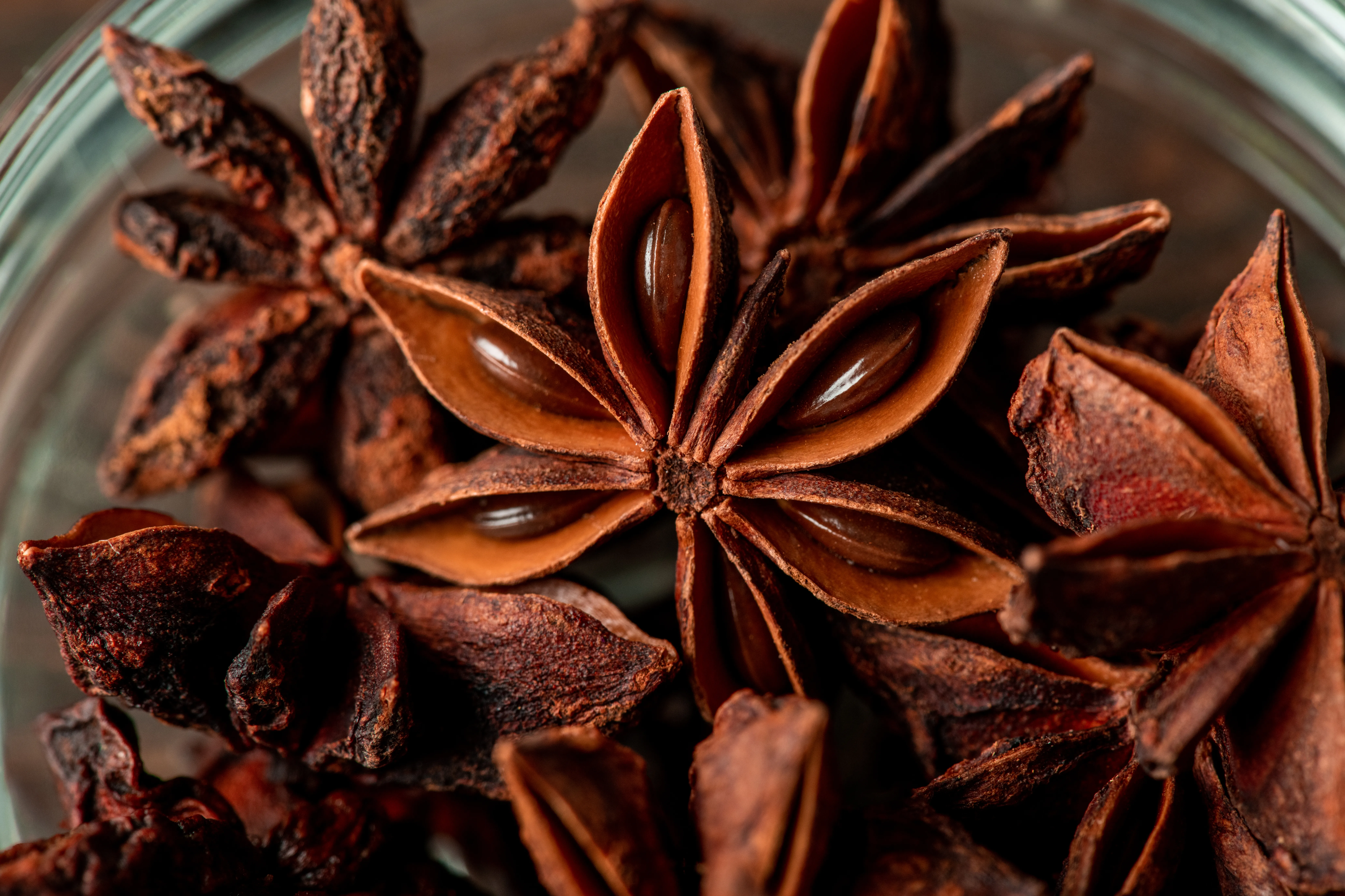 Star Anise
