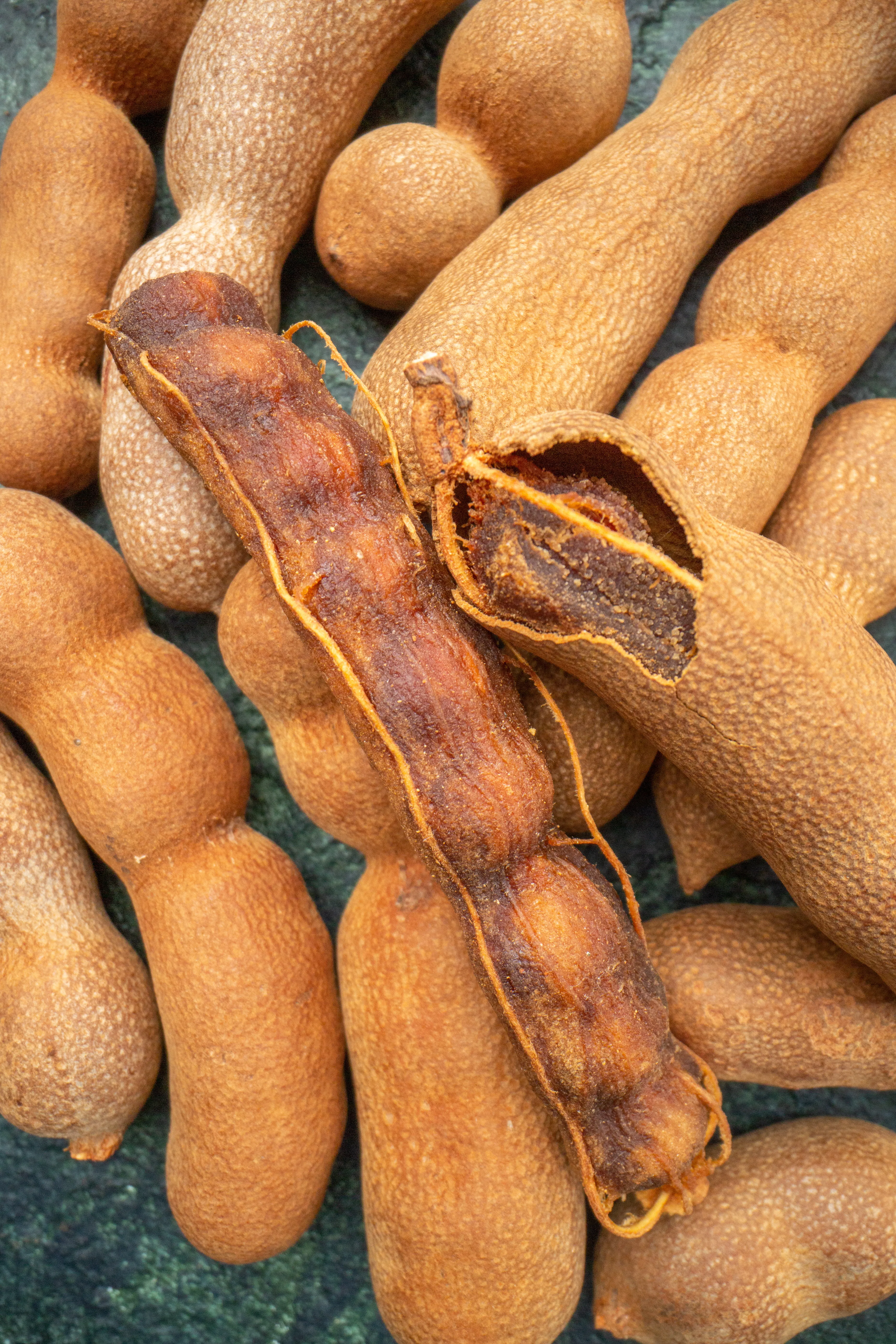 Tamarind