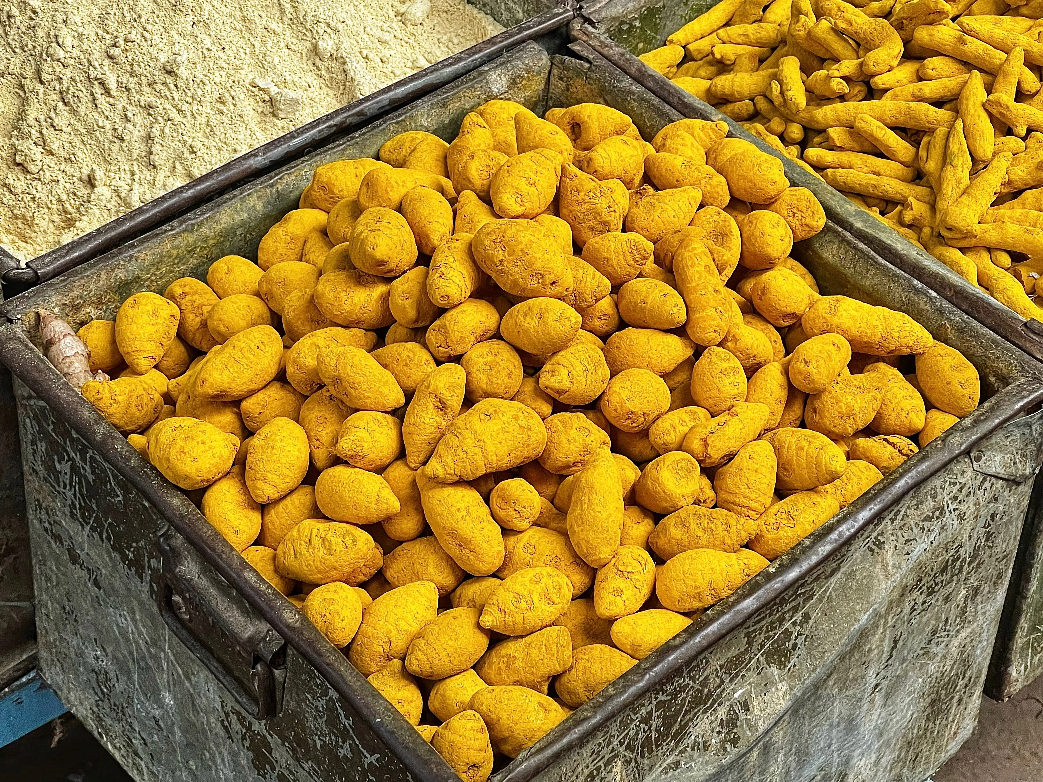 Turmeric Bulb